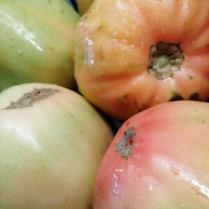 Tomate Coração de Boi