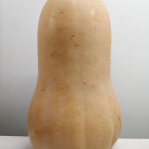 Abóbora Manteiga (+/-1,5kg)