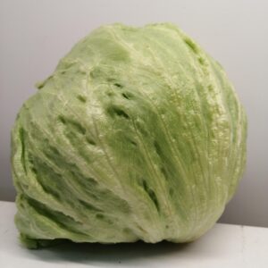 Alface Iceberg