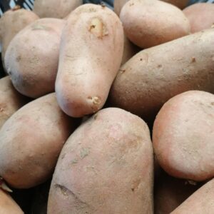 Batata