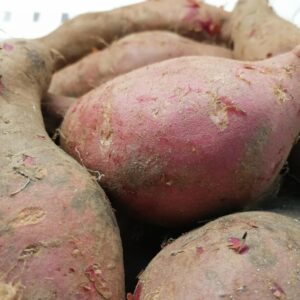Batata Doce