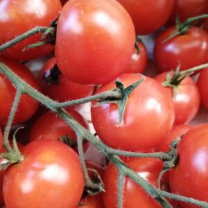 Tomate Cherry