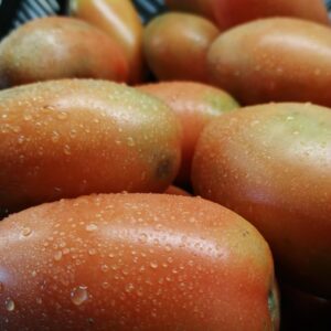 Tomate Chucha